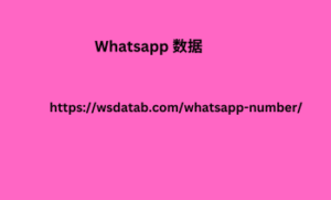 Whatsapp 数据
