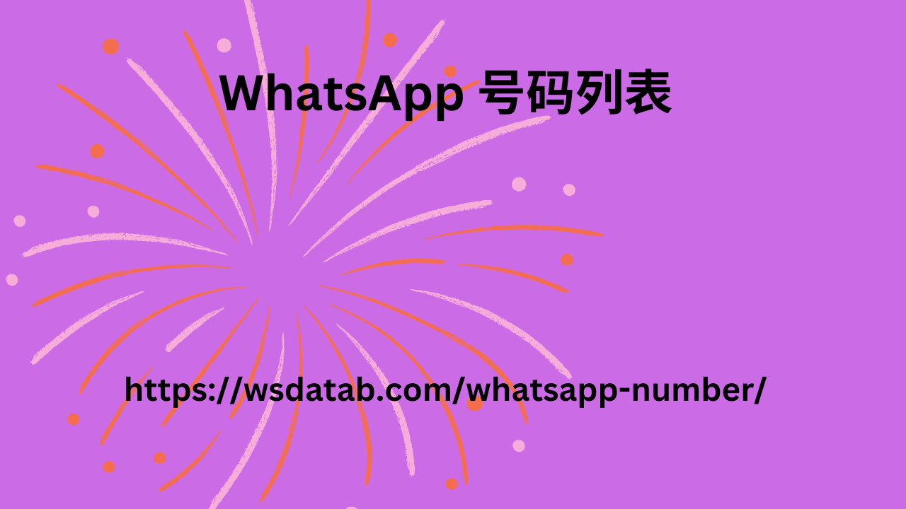 WhatsApp 号码数据