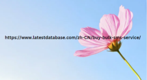 https://www.latestdatabase.com/zh-CN/buy-bulk-sms-service/