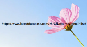 https://www.latestdatabase.com/zh-CN/country-email-list/