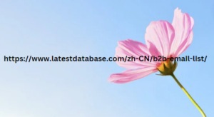 https://www.latestdatabase.com/zh-CN/b2b-email-list/