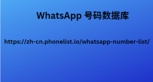 WhatsApp 号码数据库