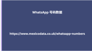 WhatsApp 号码数据