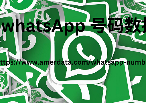 whatsApp 号码数据